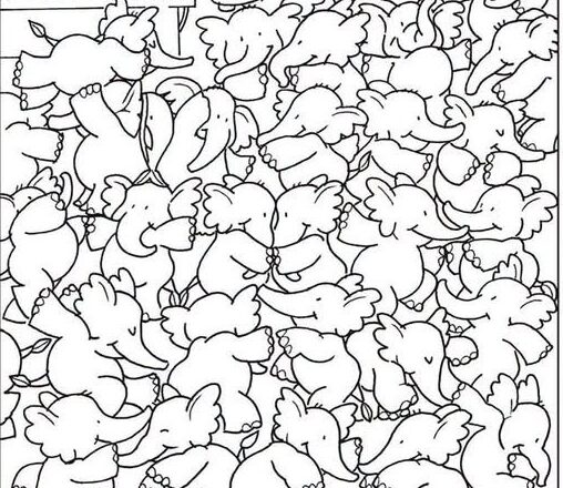 Where Is the Whale? Can You Find It in 15 Seconds?