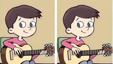 Can You Spot the One Difference? The Little Guitarist Challenge Will Test Your Eyes!