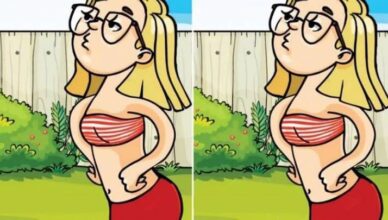 Can You Spot the One Difference? Only the Sharpest Eyes Can Find It Quickly!