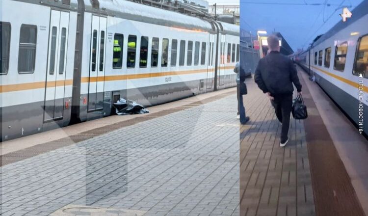 Train