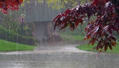 Will the temperature rise? What weather to expect from September 21 to 25?