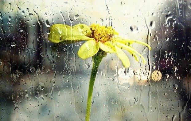 Brief rain and thunderstorms are possible in some parts of the city.