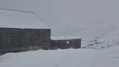 Dzmer